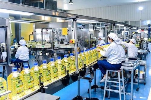 Bãi bỏ lệ phí môn bài, giảm tiền thuê đất, miễn thuế TNDN thúc đẩy kinh tế tư nhân phát triển