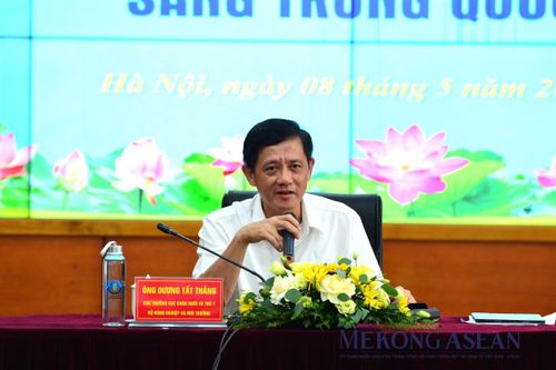 Yến thô chính thức xuất khẩu sang Trung Quốc, tạo thêm 'không gian' cho ngành