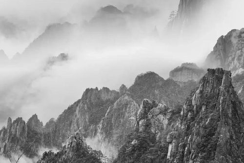 3 loại tranh không nên treo trong nhà kẻo rước họa không may