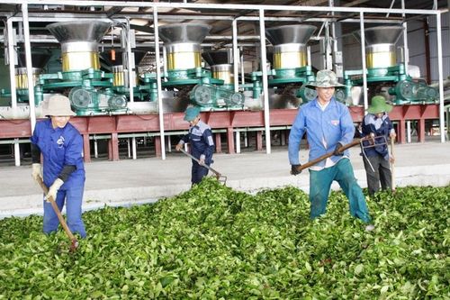 Liên kết '5 nhà' phải trở thành chiến lược dài hạn