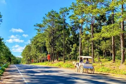 Bổ sung sân bay Măng Đen, Vân Phong vào Quy hoạch hệ thống cảng hàng không