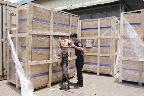 Khởi tố hình sự vụ doanh nghiệp xuất lậu thuốc lá