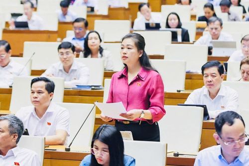Đại biểu Quốc hội tỉnh Đoàn Thị Lê An phát biểu thảo luận tại hội trường về Dự án Luật Hóa chất (sửa đổi)