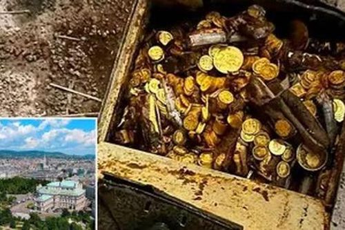 Phát hiện 30 kg vàng ròng trị giá 84 tỷ đồng dưới lớp bê tông tầng hầm