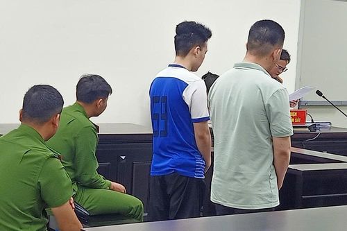 Mức án cao nhất dành cho các đối tượng vận chuyển số lượng ma túy 'khủng'