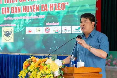 Phát triển cà phê bền vững từ chuỗi liên kết