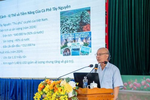 Canh tác cà phê thông minh ứng phó với biến đổi khí hậu