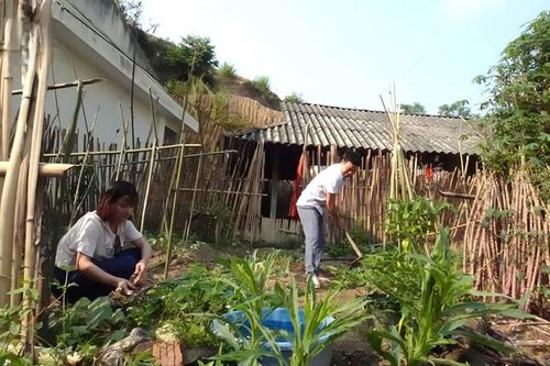 Ước mơ một chốn đi về sau hành trình 'cắm bản'
