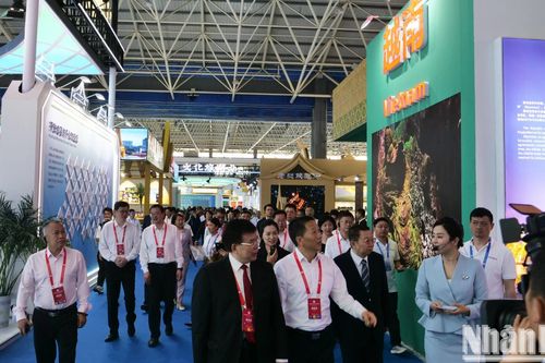 Tăng cường hợp tác kinh tế-thương mại ASEAN-Trung Quốc thông qua RCEP