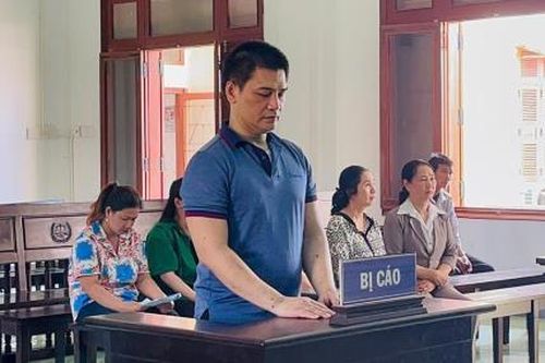 'Cò đất' lừa đảo xộ khám