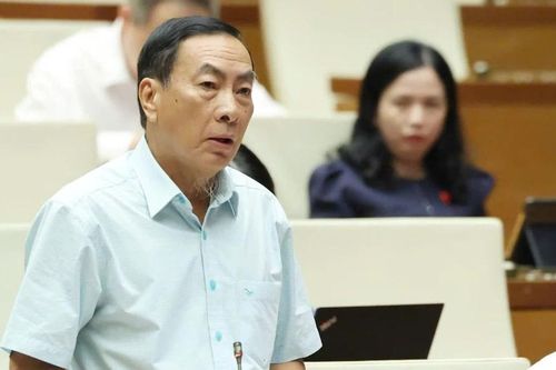 Đại biểu đề nghị phát triển công nghiệp công nghệ số lưu ý tới an ninh môi trường