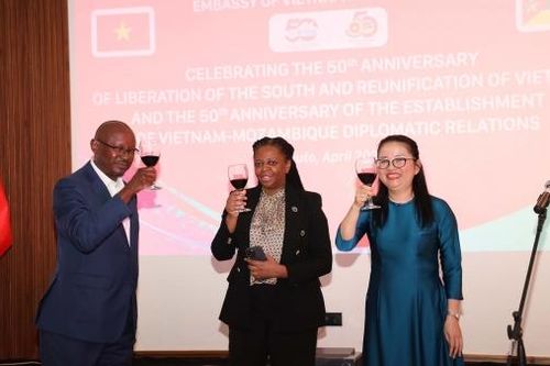 Đại sứ Trần Thị Thu Thìn: Lan tỏa sức mạnh mềm vô giá của Việt Nam tại Mozambique
