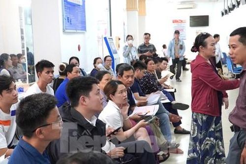 Người dân Đà Nẵng đổ xô làm giấy tờ đất