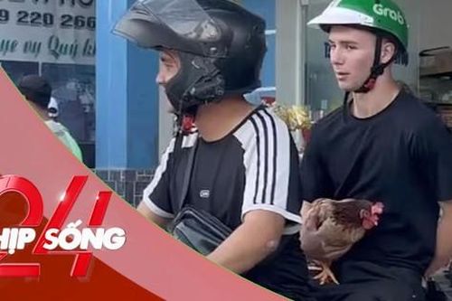 NHỊP SỐNG 24: Kỳ lạ khách nước ngoài ôm gà đi khắp nơi