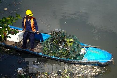 Dọn cá chết nổi trắng trên kênh Nhiêu Lộc