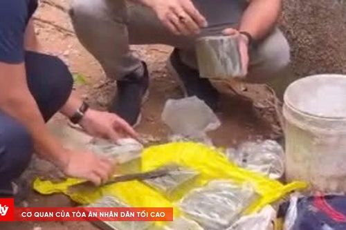 Bắt thêm 3 đối tượng trong chuyên án ma túy liên quan Bùi Đình Khánh