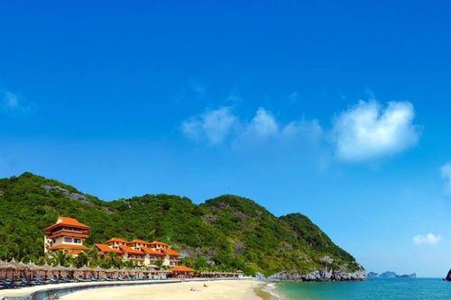 Hải Phòng đấu giá 20ha đất tại Đồ Sơn, giá khởi điểm hơn 900 tỷ đồng