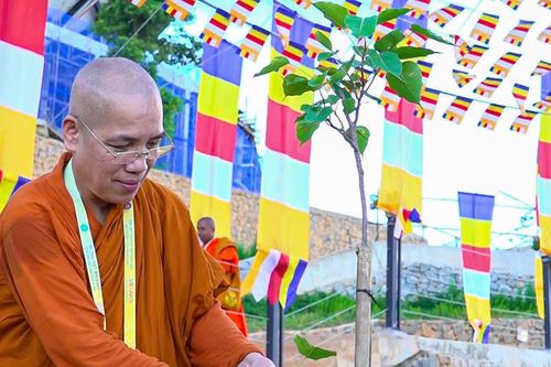 108 cây bồ đề thỉnh từ Ấn Độ được trồng trên núi Bà Đen trong Đại lễ Vesak 2025
