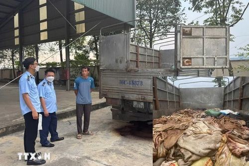 Thanh Hóa: Phát hiện, tiêu hủy gần 5 tấn thực phẩm không rõ nguồn gốc