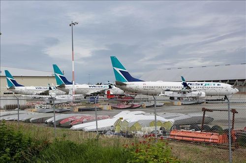Hãng hàng không lớn thứ hai của Canada tạm dừng nhiều tuyến bay đến Mỹ