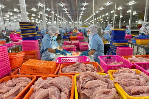 Kinh tế tư nhân: Động lực tăng trưởng của TP Hồ Chí Minh