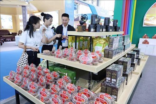 Khai mạc Hội chợ triển lãm kinh tế thương mại RCEP tại Trung Quốc