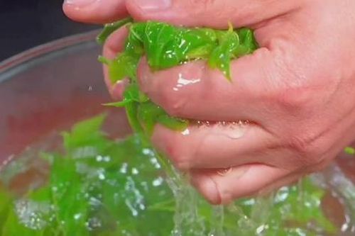 Ăn 1 nắm rau này quý như 'nhân sâm người nghèo', mọc đầy bờ rào mà ít ai hay