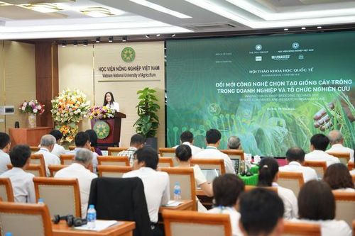 Ngành giống cây trồng trước cơ hội bứt phá nhờ công nghệ và đổi mới sáng tạo