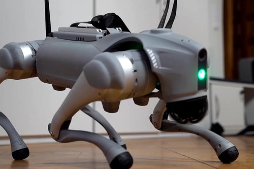 Chó robot có khả năng học hỏi và thích nghi như chó thật