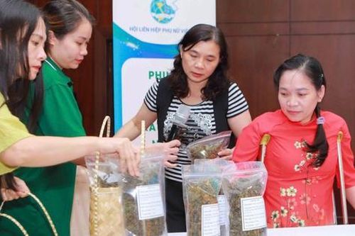 Tinh gọn tổ chức - Hướng về cơ sở - Bài 3: Hội viên cần gì sau tinh gọn?
