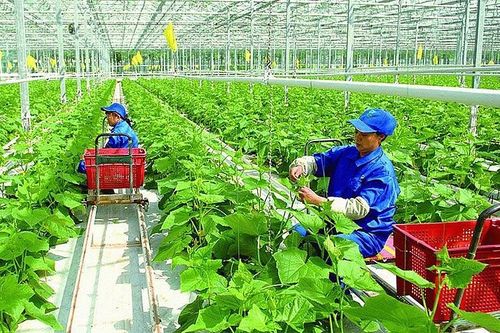 Nghiên cứu, thử nghiệm và nhân rộng các mô hình kinh tế xanh