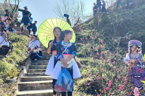 Phát triển du lịch xanh, bền vững