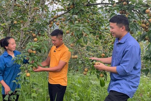 Hành trình vươn mình của huyện nghèo
