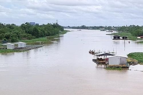 Đảm bảo an ninh, trật tự liên quan nuôi cá lồng bè trên địa bàn tỉnh