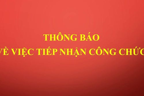 Đảng ủy UBND tỉnh Gia Lai cần tiếp nhận 4 công chức