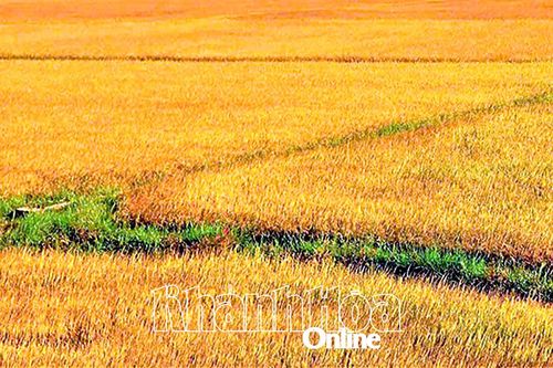 Ầu ơi… câu hát mẹ ru