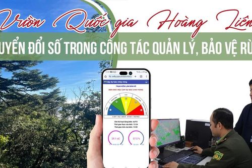 Vườn Quốc gia Hoàng Liên: Chuyển đổi số trong công tác quản lý, bảo vệ rừng