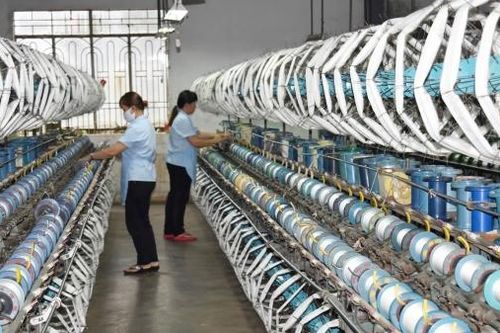 Khi cây dâu tằm tăng cả 3 tiêu chí