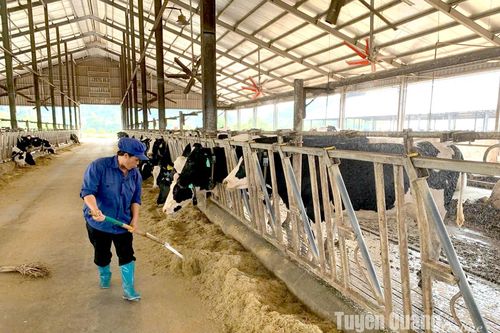 Trợ lực cho doanh nghiệp phát triển