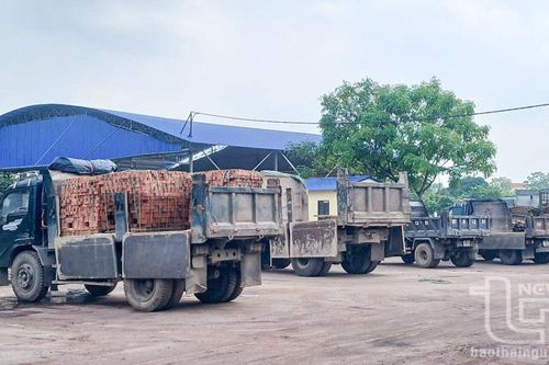Giá gạch tuynel tăng mạnh