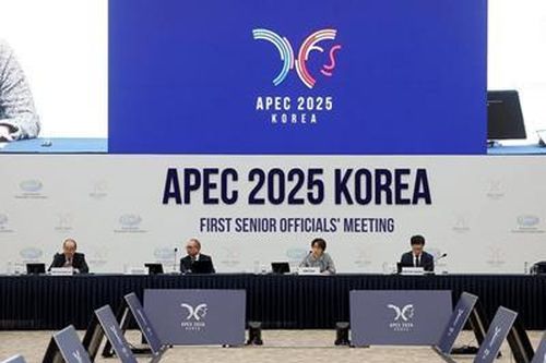 APEC tập trung giải quyết thách thức về AI và khoảng cách lao động