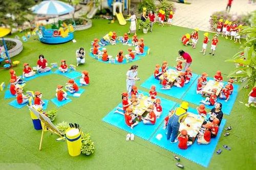 Các trường chất lượng cao gặp khó về tài chính