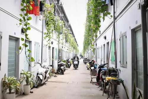 TP. Hồ Chí Minh hỗ trợ chủ trọ vay ưu đãi