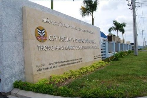 Cao su Thống Nhất (TNC) lãi quý I tăng 95% nhờ giá chuối