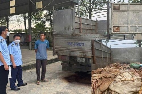 Thanh Hóa: Bắt giữ gần 5 tấn da trâu, bò không rõ nguồn gốc xuất xứ