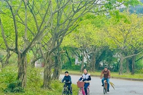 Xu hướng du lịch gia đình của khách Việt Nam