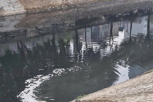 Giám đốc Sở Nông nghiệp và Môi trường Hà Nội Nguyễn Xuân Đại: Nâng mức xử phạt vi phạm đối với lĩnh vực môi trường - quyết sách mạnh mẽ về thể chế