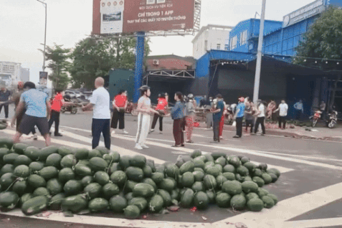 Xe chở cả tấn dưa hấu bị lật, người dân Nghệ An xúm lại 'giải cứu'