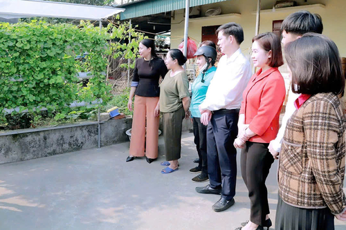 Hiệu quả mô hình trồng rau thủy canh