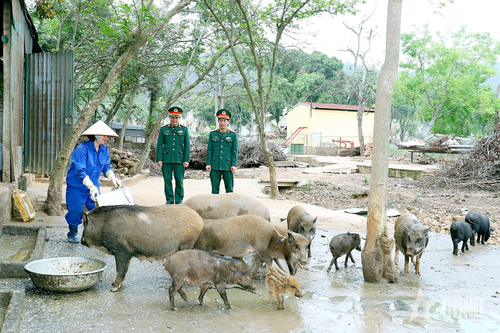 Đẩy mạnh công tác tăng gia, chăn nuôi, nâng cao đời sống bộ đội